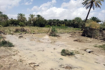 خسارت سیل بهاره به بخش کشاورزی سیستان و بلوچستان