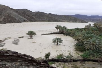 سیستان و بلوچستان سوار بر امواج رویدادهای سال ۹۸ 