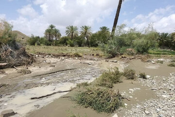 خسارت سیل بهاره به بخش کشاورزی سیستان و بلوچستان