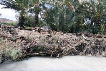 خسارت سیل بهاره به بخش کشاورزی سیستان و بلوچستان