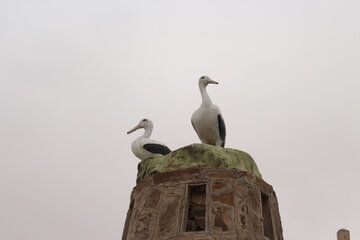 بوستان اهداء سمنان