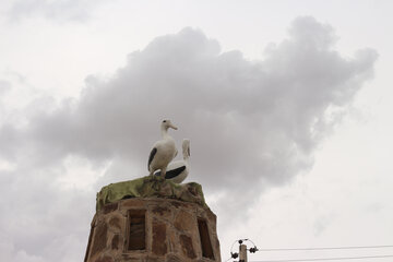 بوستان اهداء سمنان