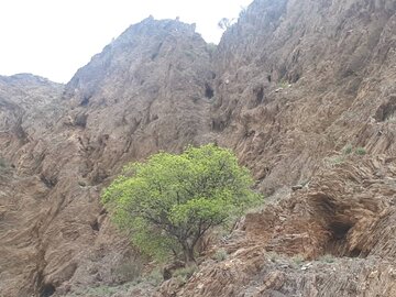 روستای نراب جیرفت