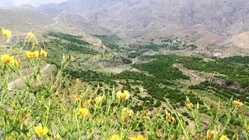 روستای نراب جیرفت