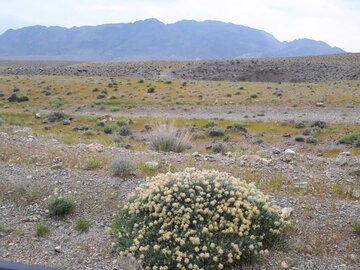 روستای نراب جیرفت