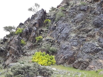 روستای نراب جیرفت