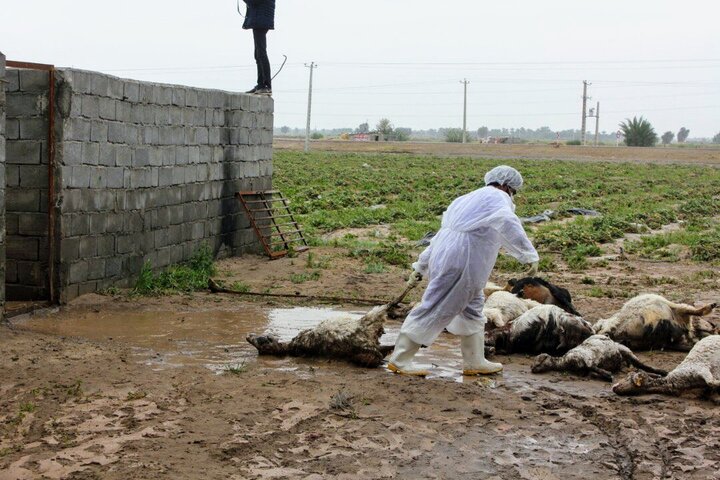 سیل ۱۵ میلیارد تومان به عشایر کرمان خسارت زد