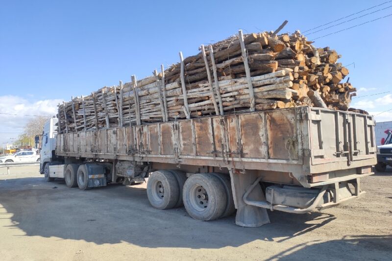 کشف بیش از ۱۳ تن چوب قاچاق در تویسرکان