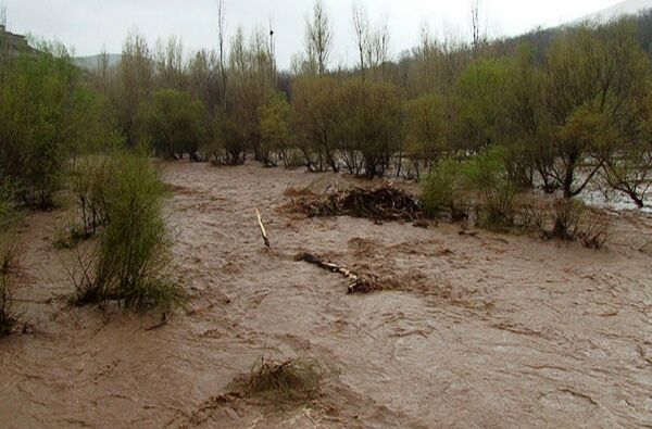 ۴۴ نفر از خطر سیلاب در خراسان جنوبی نجات یافتند