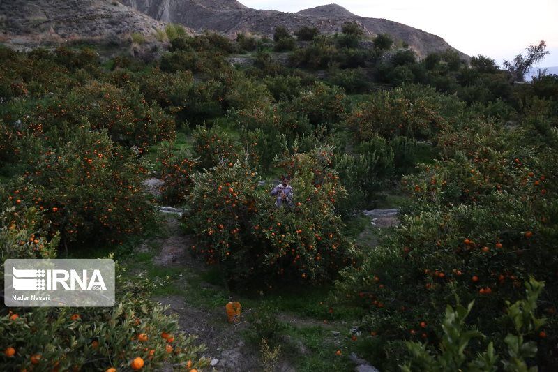 خطر در کمین روستاهای هدف گردشگری الیگودرز