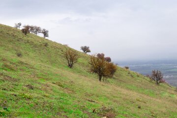 سرسبزی دره سلطان یعقوب نقده