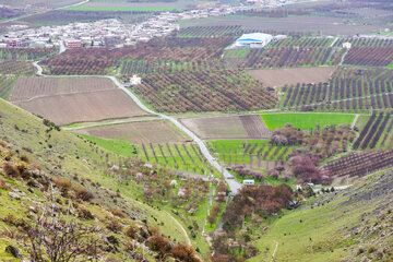 سرسبزی دره سلطان یعقوب نقده