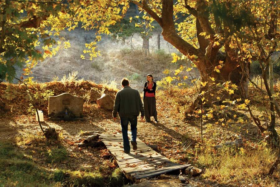 خاک را حقیر نشمارید، گنجینه‌های بسیاری در خود دارد!