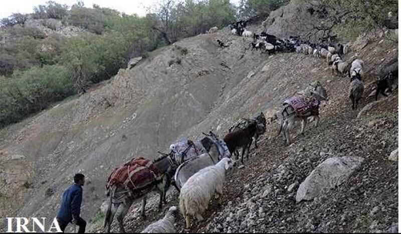 حدود ٧ هزار خانوار عشایری از مسیر ارتباطی مناسب بهره‌مند شدند