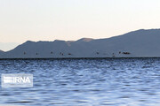 Official: Iran's Urmia Lake water surface enlarging