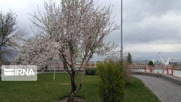 Spring in Iran