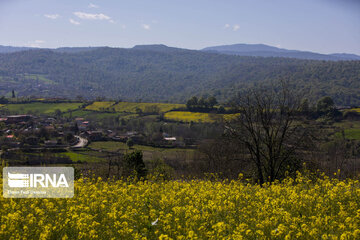 Beauty of Iranian nature in spring