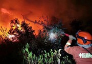 بیش از ۲۰ هزار هکتار اراضی جنگلی روسیه در آتش می‌سوزد 