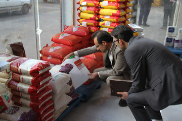 توزیع ۲ هزار و ۲۰۰ تن برنج تنظم بازاری با ارائه کد ملی در مازندران شروع شد