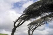 باد با سرعت ۷۲ کیلومتر در ساعت همدان را درنوردید