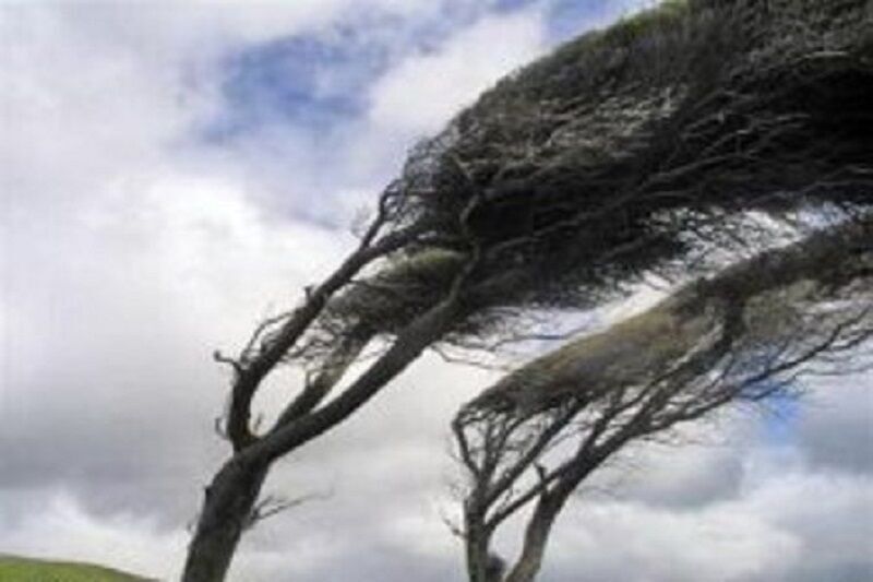 باد شدید در استان مرکزی وزیدن می‌گیرد