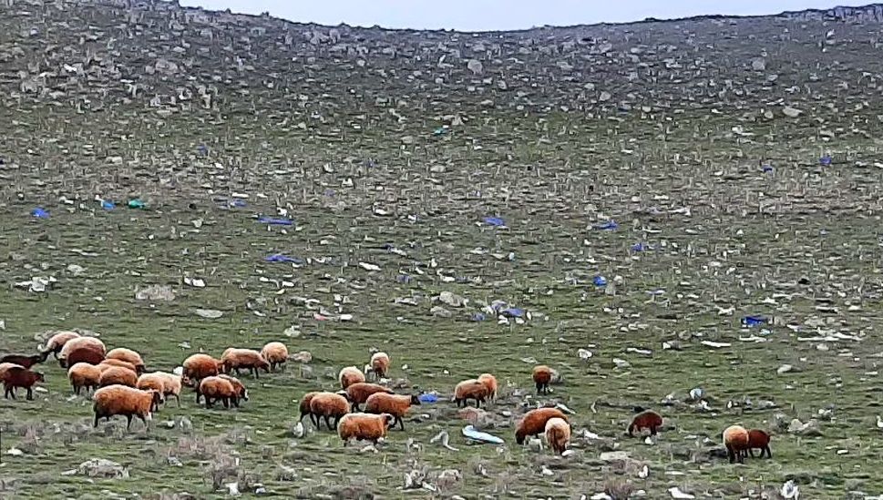 شهرداری بر دفن زباله‌های بیمارستانی نظارت کافی دارد