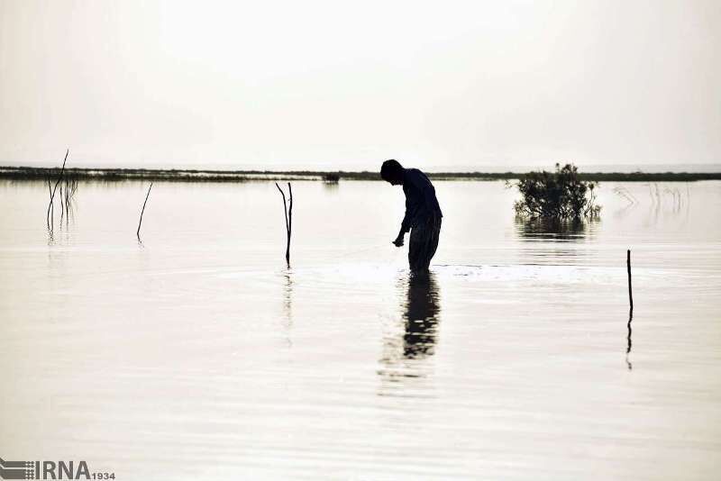 Iran, UNDP cooperate on Hamoon Wetland revival