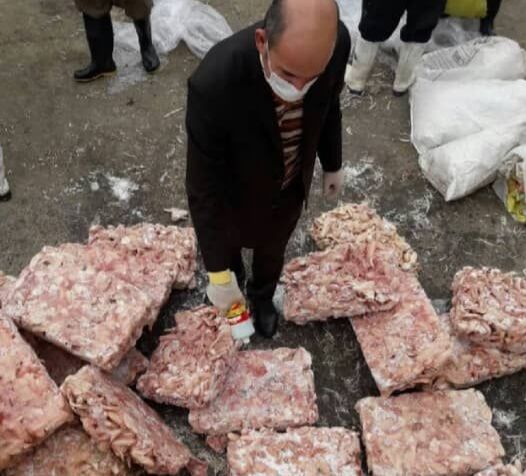 کشف بیش از 600 کیلوگرم بال و کتف مرغ آلوده در ساوجبلاغ
