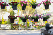 Isfahan's Flower and Plant Market in the time of Coronavirus