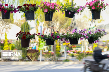 Iran's Isfahan Flower and Plant Market in the time of Coronavirus