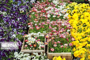 Iran's Isfahan Flower and Plant Market in the time of Coronavirus