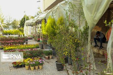 Iran's Isfahan Flower and Plant Market in the time of Coronavirus