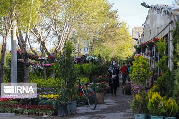 Iran's Isfahan Flower and Plant Market in the time of Coronavirus