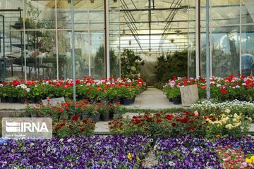 Iran's Isfahan Flower and Plant Market in the time of Coronavirus