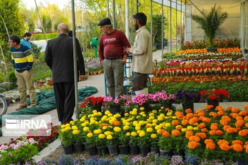 Iran's Isfahan Flower and Plant Market in the time of Coronavirus