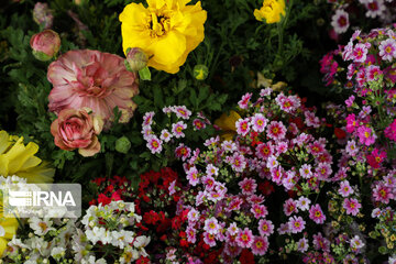 Iran's Isfahan Flower and Plant Market in the time of Coronavirus