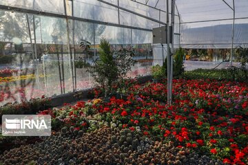 Iran's Isfahan Flower and Plant Market in the time of Coronavirus