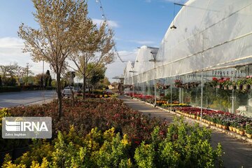 Iran's Isfahan Flower and Plant Market in the time of Coronavirus