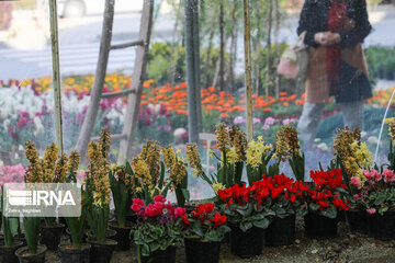 Iran's Isfahan Flower and Plant Market in the time of Coronavirus