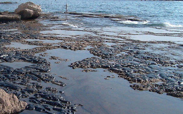 محیط زیست بوشهر از شرکت نفتی آلوده کننده دریا شکایت کرد