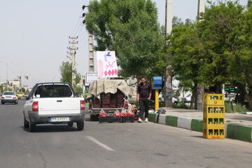 شهردار: مکان مشخصی برای وانت‌های میوه فروش تبریز در نظر گرفته شد