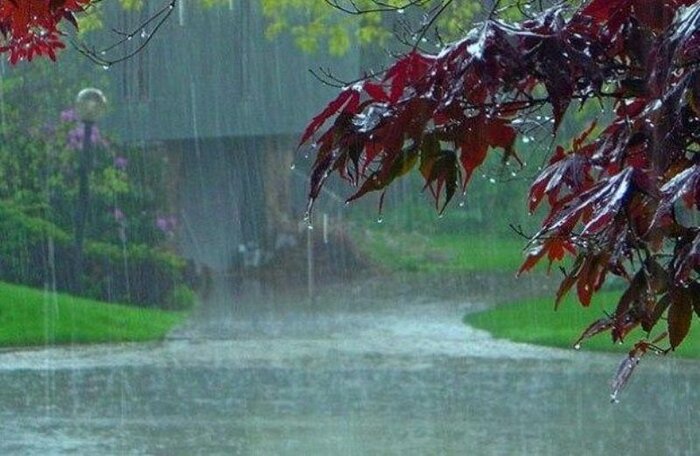 ۱۸.۵ میلیمتر بارندگی در تنگچنار مهریز ثبت شد