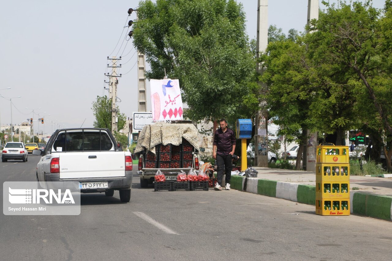 شهردار: مکان مشخصی برای وانت‌های میوه فروش تبریز در نظر گرفته شد