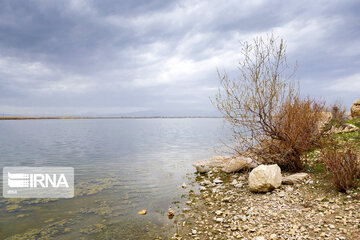 Dargah Sangi International Wetland in north western Iran