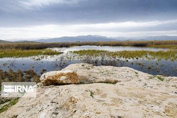 Dargah Sangi International Wetland in north western Iran