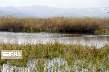 Dargah Sangi International Wetland in north western Iran