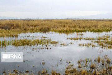 Dargah Sangi International Wetland in north western Iran