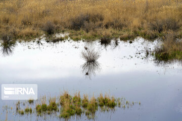 Dargah Sangi International Wetland in north western Iran