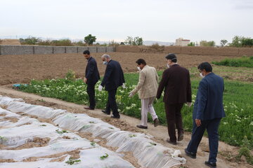 طرح های گردشگری شهرداری سمنان