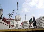 عربستان ۱۷ کشتی حامل مواد غذایی برای یمن را توقیف کرد